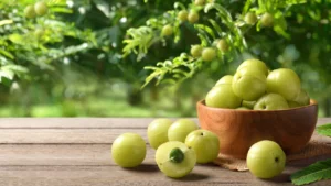 Amla Juice Benefits in India: 12 Powerful Health Benefits for Immunity 1