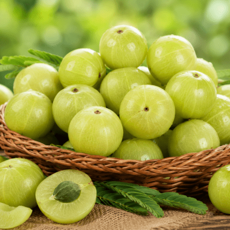 Fresh Amla fruit from Rajvi Bhog naturally grown Indian gooseberry rich in Vitamin C