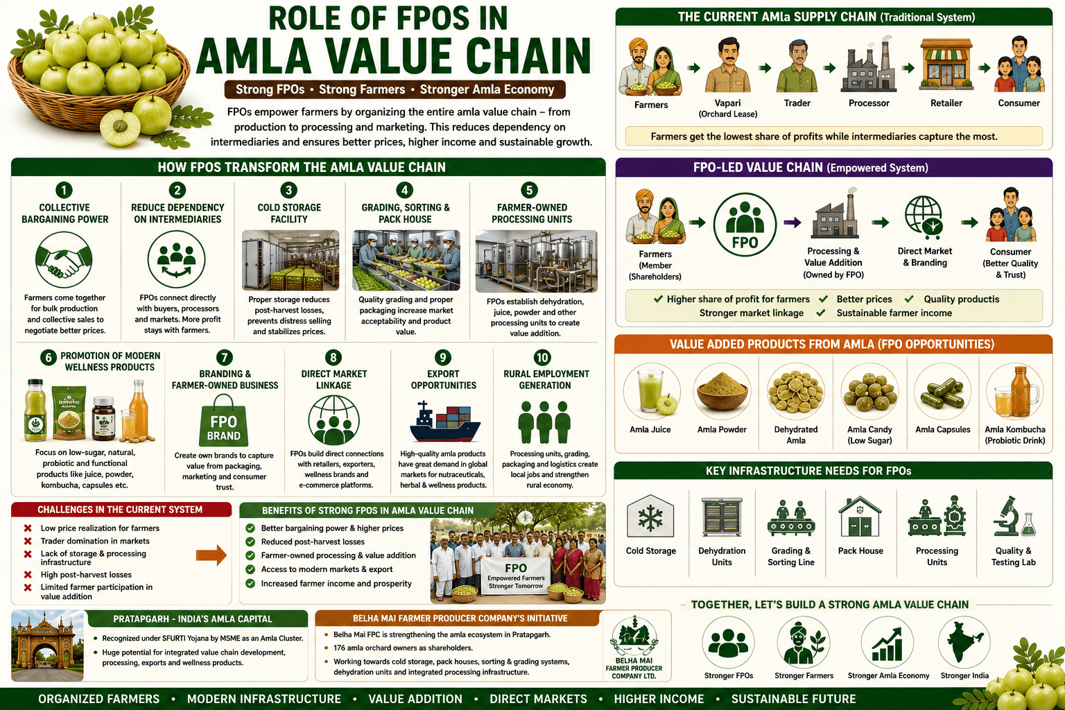 Role of FPOs in amla value chain collage infographic showing processing, cold storage, grading systems, market linkage, and farmer-owned value addition.