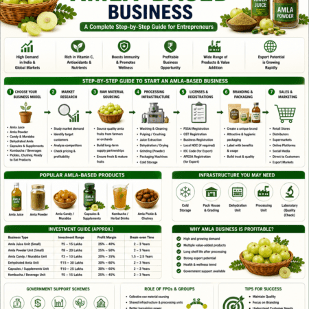 How to start an amla-based business infographic showing processing, packaging, juice manufacturing, exports, branding, and FPO-led entrepreneurship.
