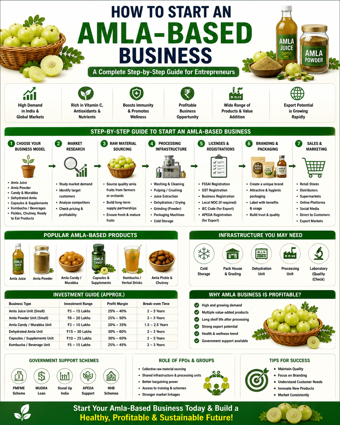 How to start an amla-based business infographic showing processing, packaging, juice manufacturing, exports, branding, and FPO-led entrepreneurship.
