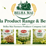 Amla Product Range and Benefits by Belha Mai Farmers Producer Company Ltd featuring Rajvi Bhog amla powder, dry amla, amla barfi, amla candy and amla murabba