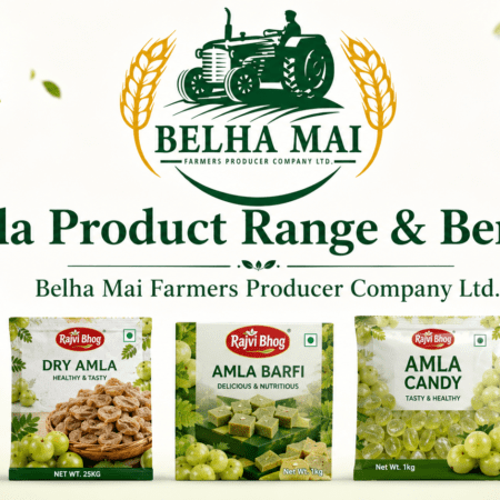 Amla Product Range and Benefits by Belha Mai Farmers Producer Company Ltd featuring Rajvi Bhog amla powder, dry amla, amla barfi, amla candy and amla murabba