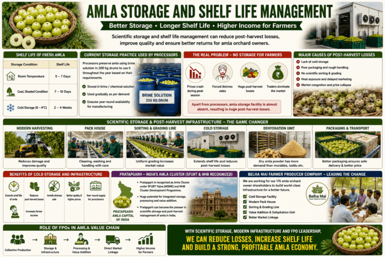Amla storage and shelf life management infographic showing cold storage, dehydration units, grading systems, and FPO-led infrastructure development in Pratapgarh.