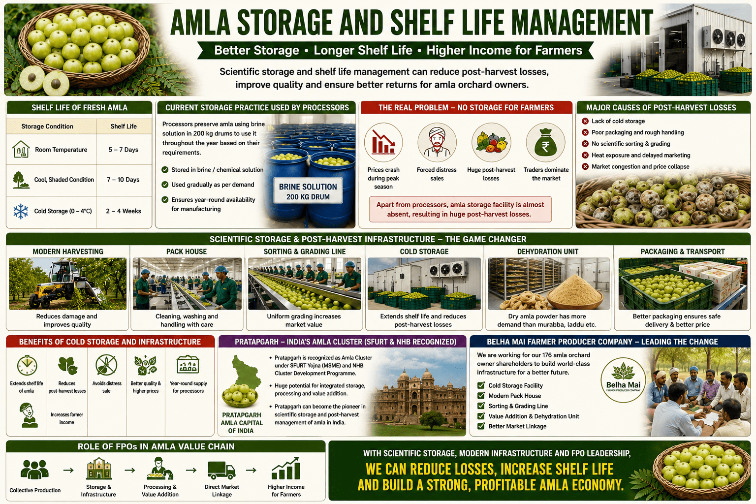 Amla storage and shelf life management infographic showing cold storage, dehydration units, grading systems, and FPO-led infrastructure development in Pratapgarh.