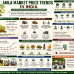 Amla market price trends in India collage infographic showing mandi prices, value addition, processing opportunities, and FPO-led market systems.