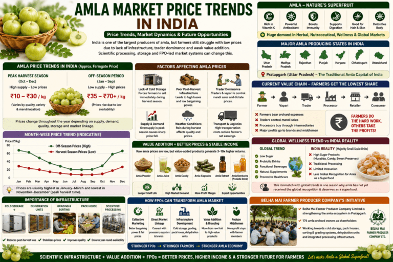 Amla market price trends in India collage infographic showing mandi prices, value addition, processing opportunities, and FPO-led market systems.
