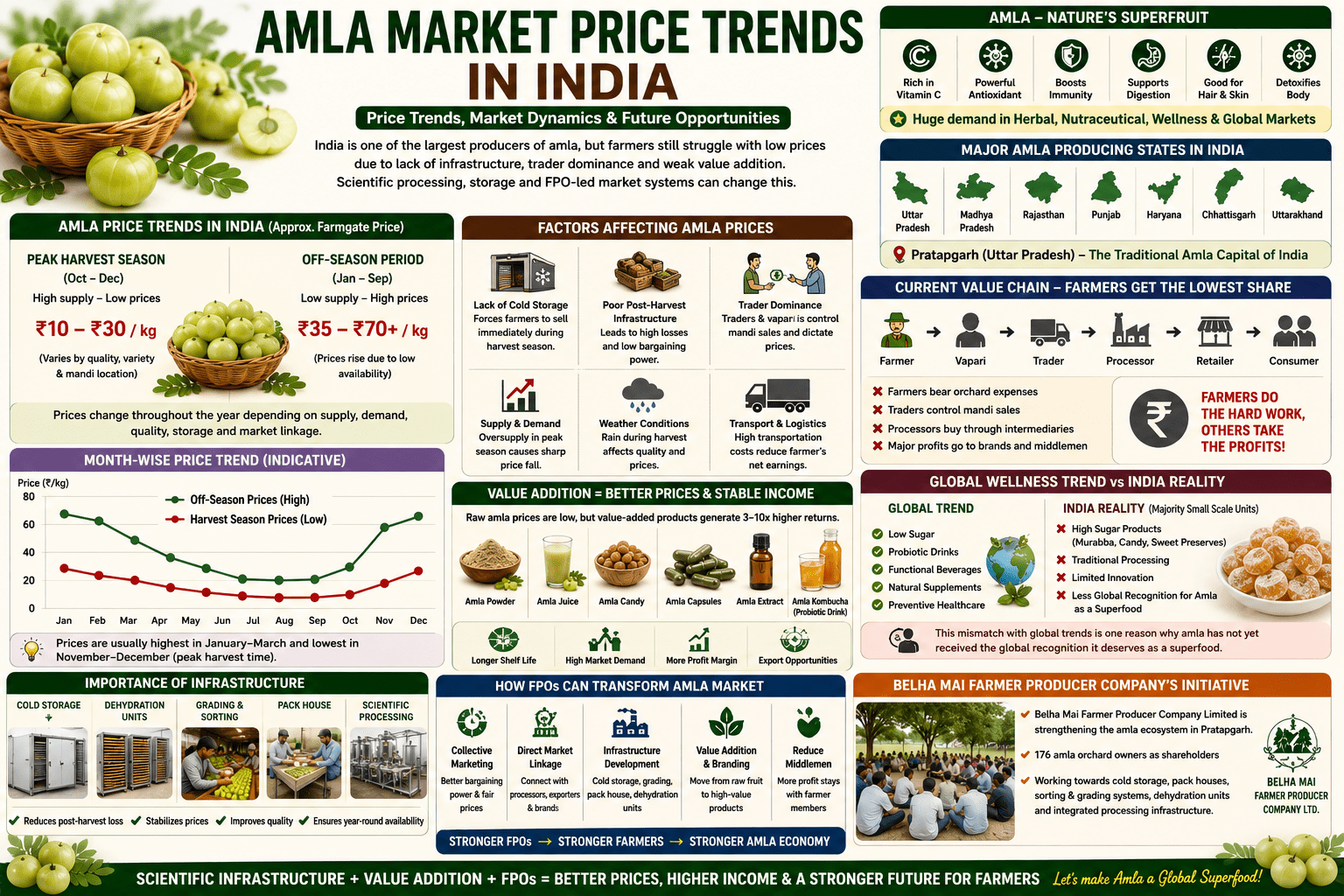 Amla market price trends in India collage infographic showing mandi prices, value addition, processing opportunities, and FPO-led market systems.