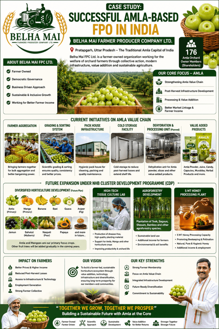 Case Study of Successful amla-based FPO in India infographic showing Belha Mai Farmer Producer Company infrastructure, tissue culture lab, amla processing, agroforestry, and NHB-CDP plans