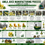 Amla juice manufacturing process collage infographic showing juice extraction, processing machinery, bottling, cold storage, and FPO-led value addition.