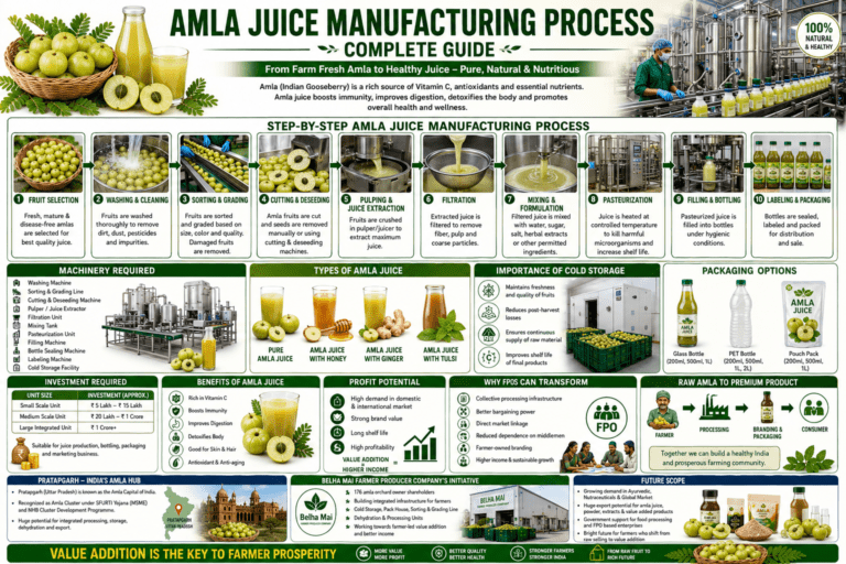 Amla juice manufacturing process collage infographic showing juice extraction, processing machinery, bottling, cold storage, and FPO-led value addition.