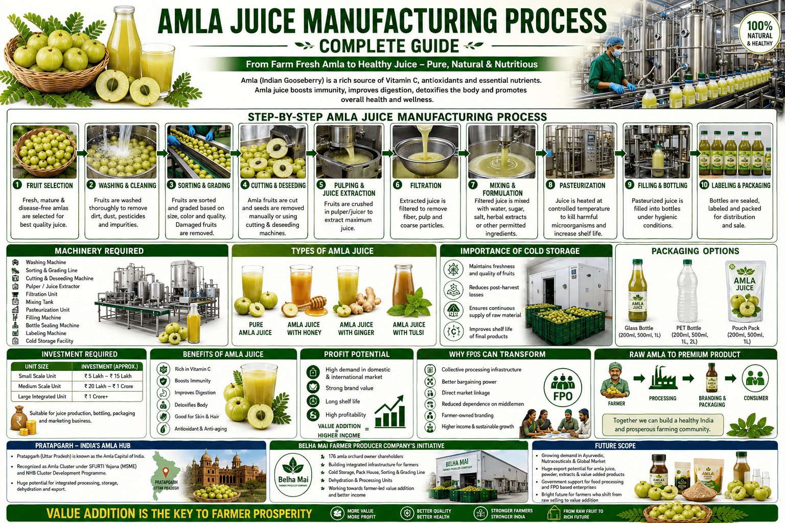 Amla juice manufacturing process collage infographic showing juice extraction, processing machinery, bottling, cold storage, and FPO-led value addition.