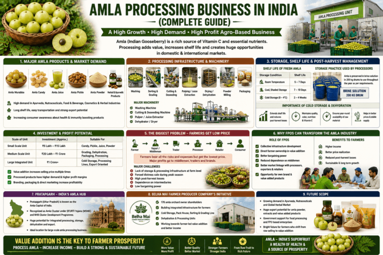 Amla processing business in India collage infographic showing processing machinery, cold storage, dehydration units, and FPO-led value addition infrastructure