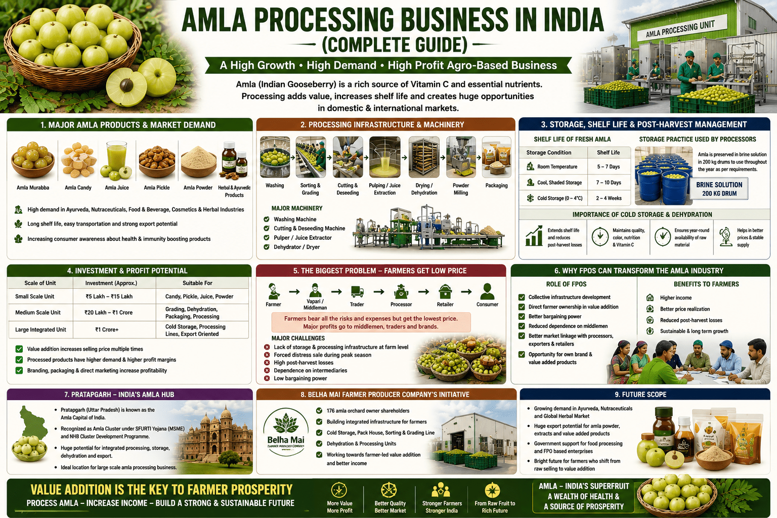 Amla processing business in India collage infographic showing processing machinery, cold storage, dehydration units, and FPO-led value addition infrastructure
