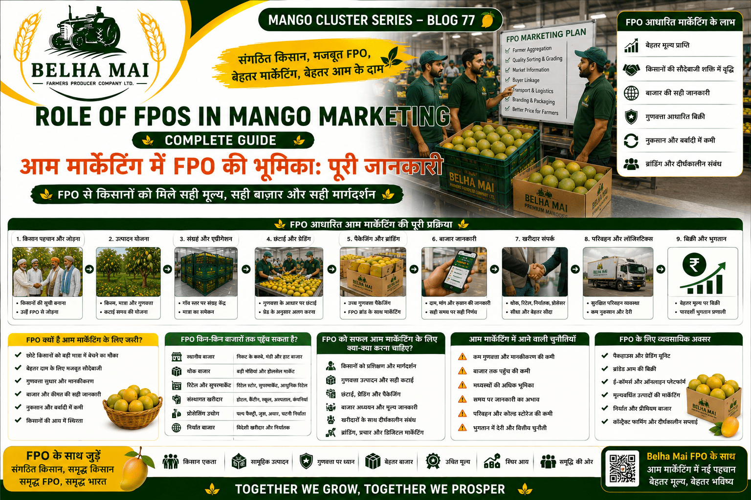 Role of FPOs in mango marketing with farmers grading packaging and selling mangoes