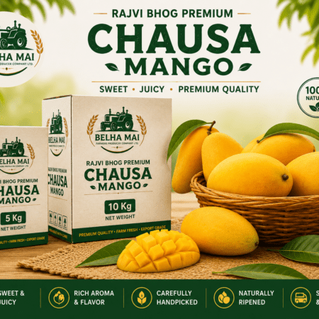 Rajvi Bhog Premium Chausa Mango 5 kg and 10 kg boxes with fresh mangoes