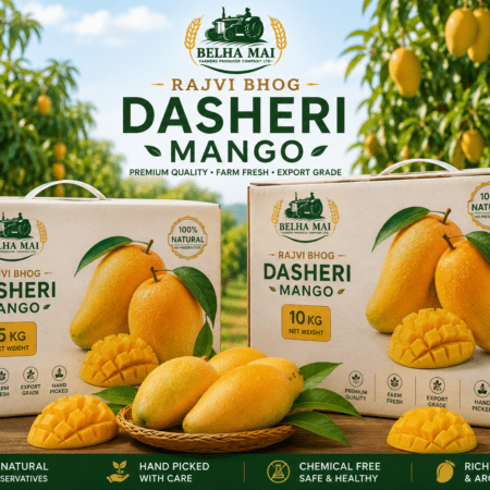 Rajvi Bhog Premium Dasheri Mango 5kg and 10kg export-quality packaging boxes with fresh farm mangoes
