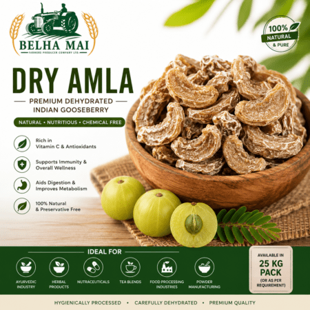 Rajvi Bhog Dry Amla premium dehydrated Indian gooseberry 25 KG pack