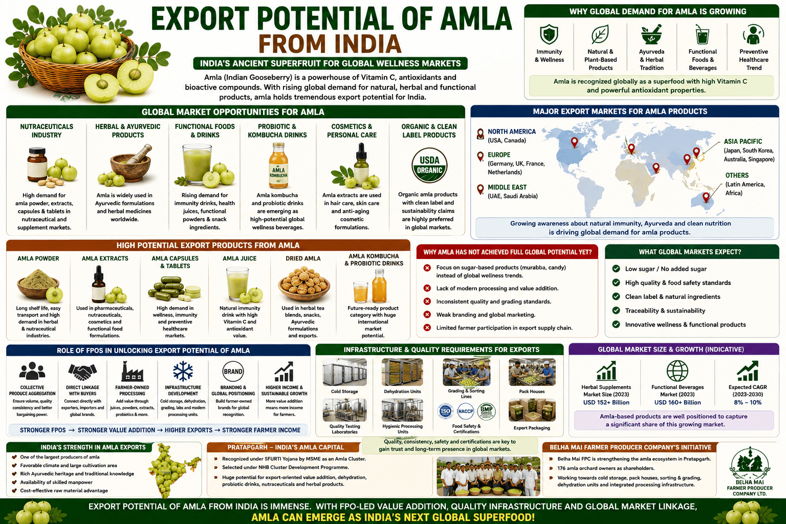 Export potential of amla from India collage infographic showing nutraceuticals, wellness products, probiotics, global demand, and export opportunities.