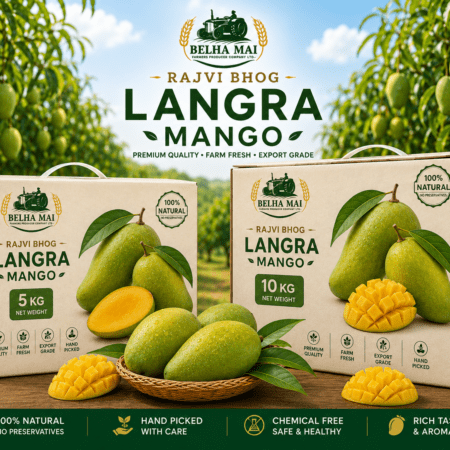 Rajvi Bhog Premium Langra Mango 5 kg and 10 kg boxes with fresh mangoes