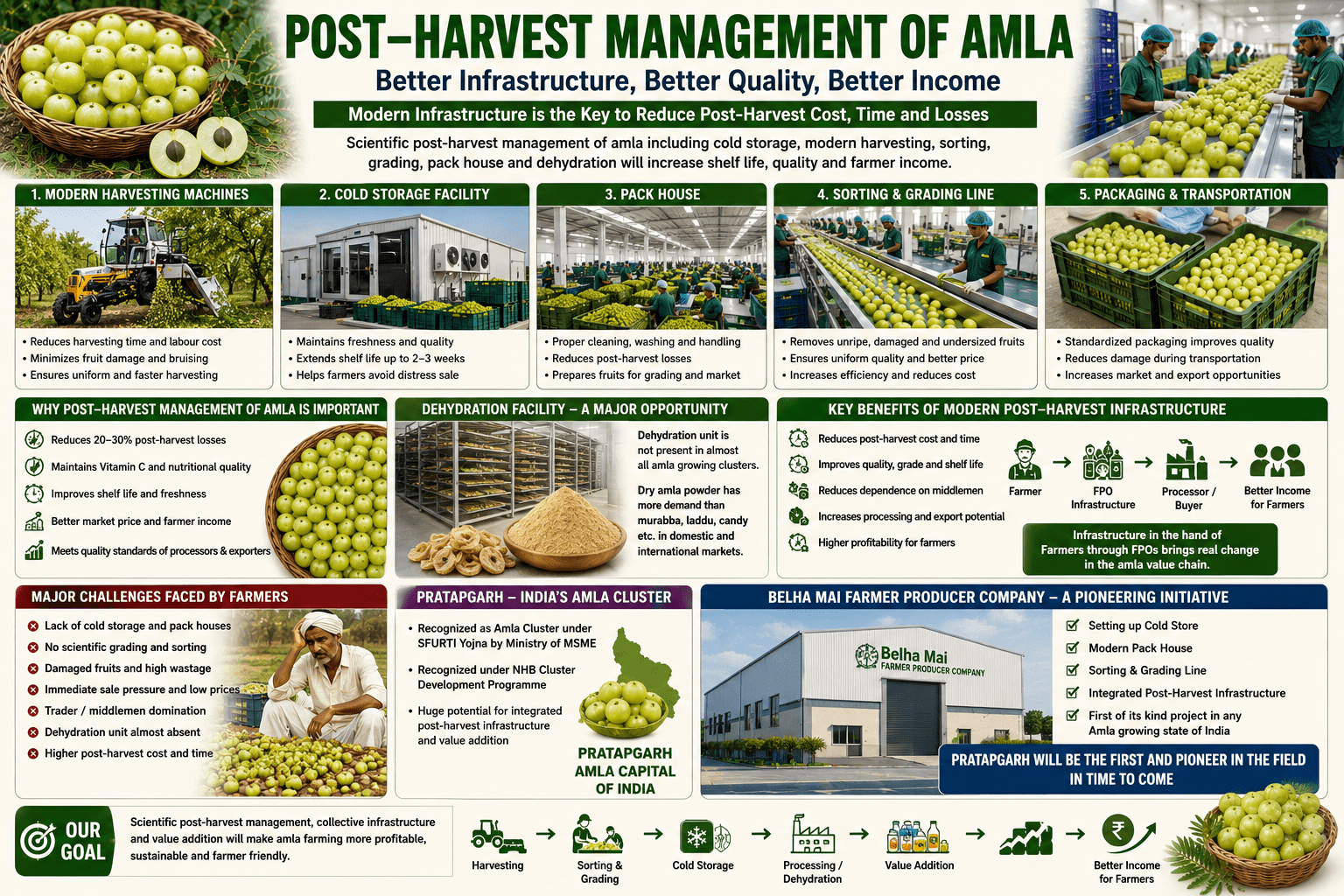 Infographic showing post-harvest management of amla including cold storage, pack house, sorting and grading line, dehydration facility, and FPO-led infrastructure development in Pratapgarh.