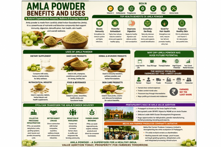 Amla powder benefits and uses collage infographic showing immunity, digestion, detoxification, hair care, and wellness applications.