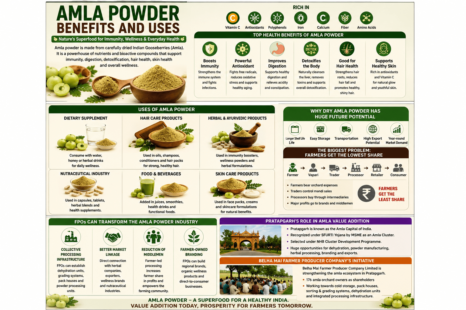 Amla powder benefits and uses collage infographic showing immunity, digestion, detoxification, hair care, and wellness applications.