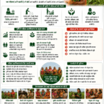 Women empowerment in agriculture showing women farmers, FPO leadership, rural enterprise, training, value addition and farmer income