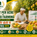 Profit per acre in mango farming with farmer in mango orchard