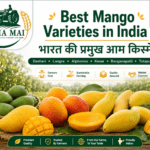Best mango varieties in India including Dasheri Langra Alphonso Kesar and Banganapalli