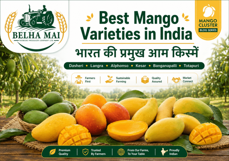 Best mango varieties in India including Dasheri Langra Alphonso Kesar and Banganapalli