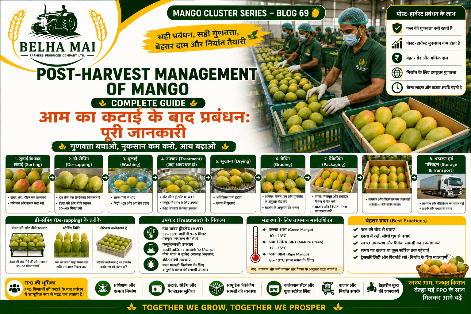 Post-harvest management of mango with sorting grading packaging and storage