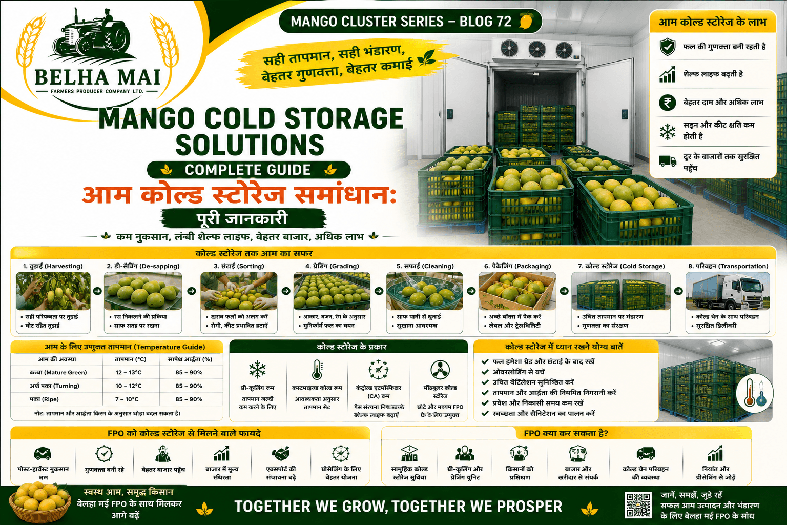 Mango cold storage solutions with mango crates in temperature-controlled storage room