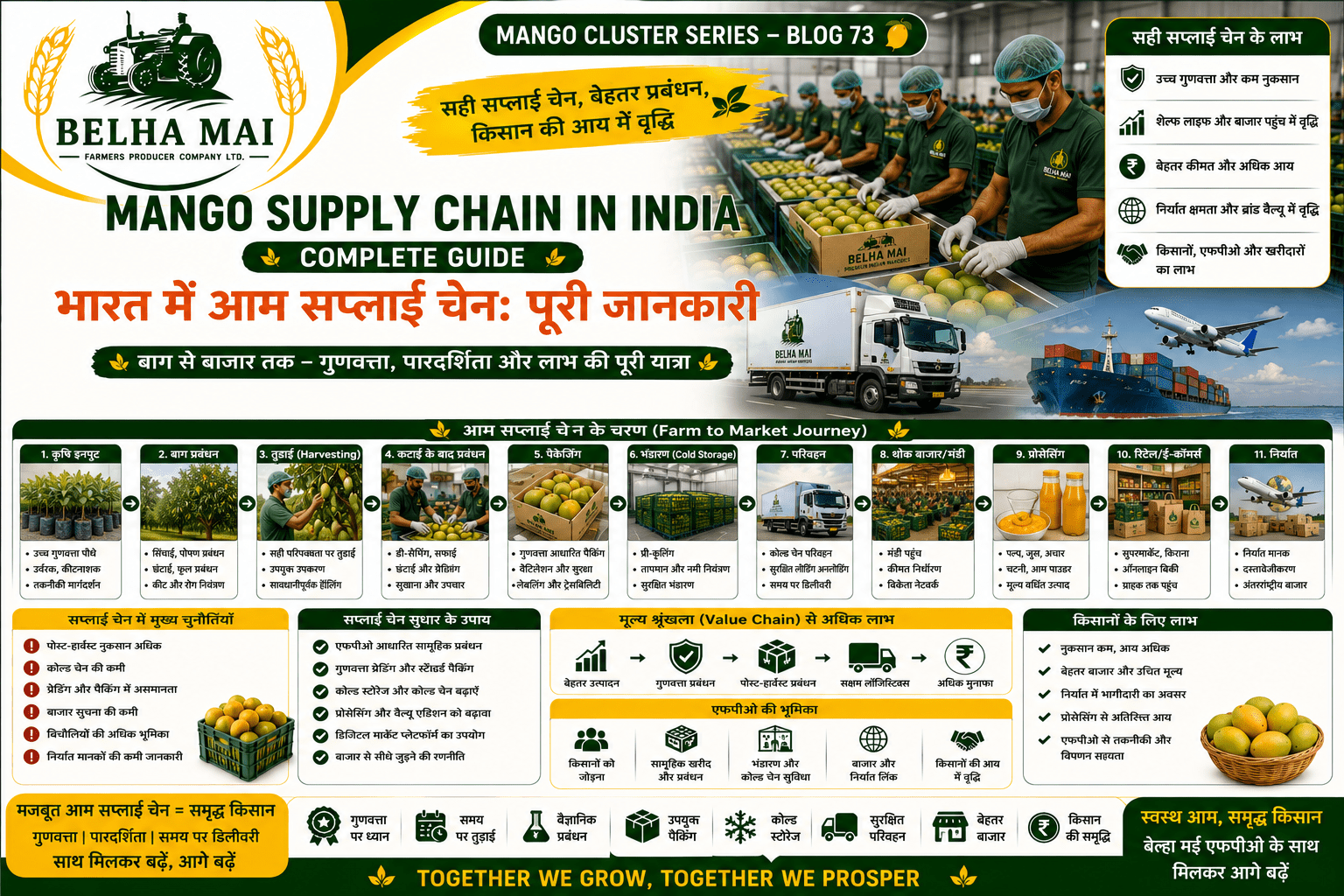 Mango supply chain in India from farm to market with FPO support