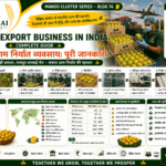 Mango export business in India with export packaging and international shipment