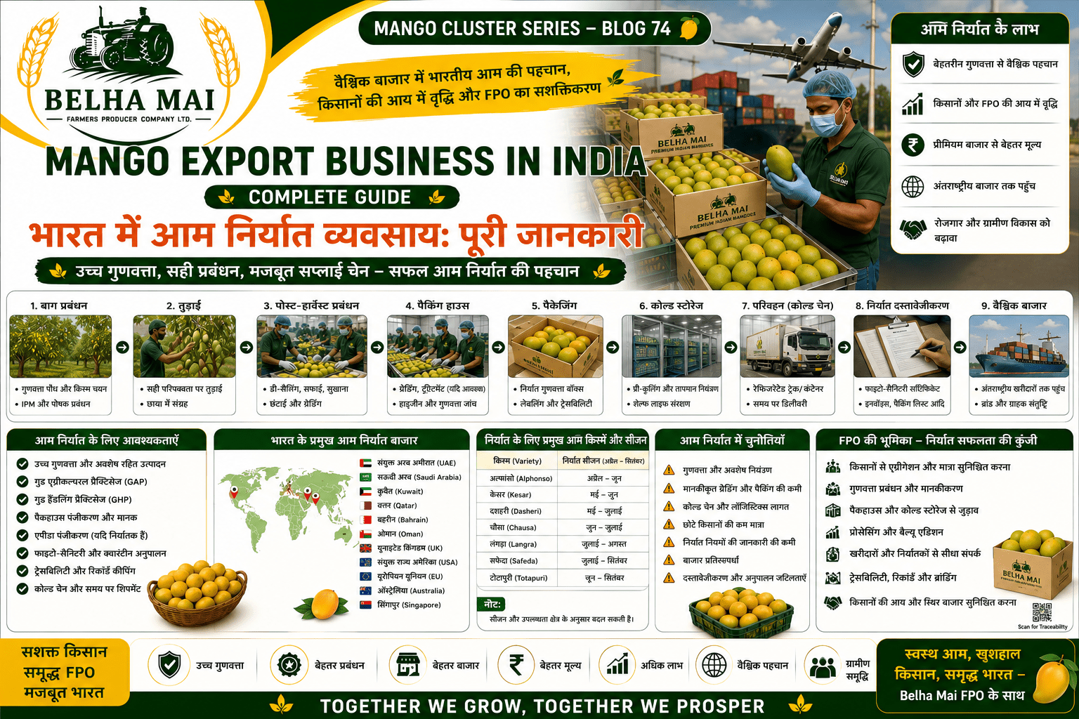Mango export business in India with export packaging and international shipment