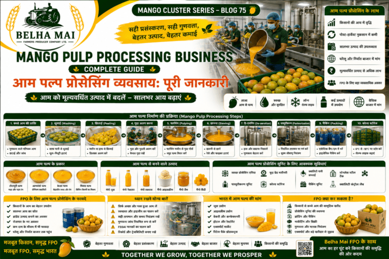 Mango pulp processing business with mango pulp production unit and FPO branding