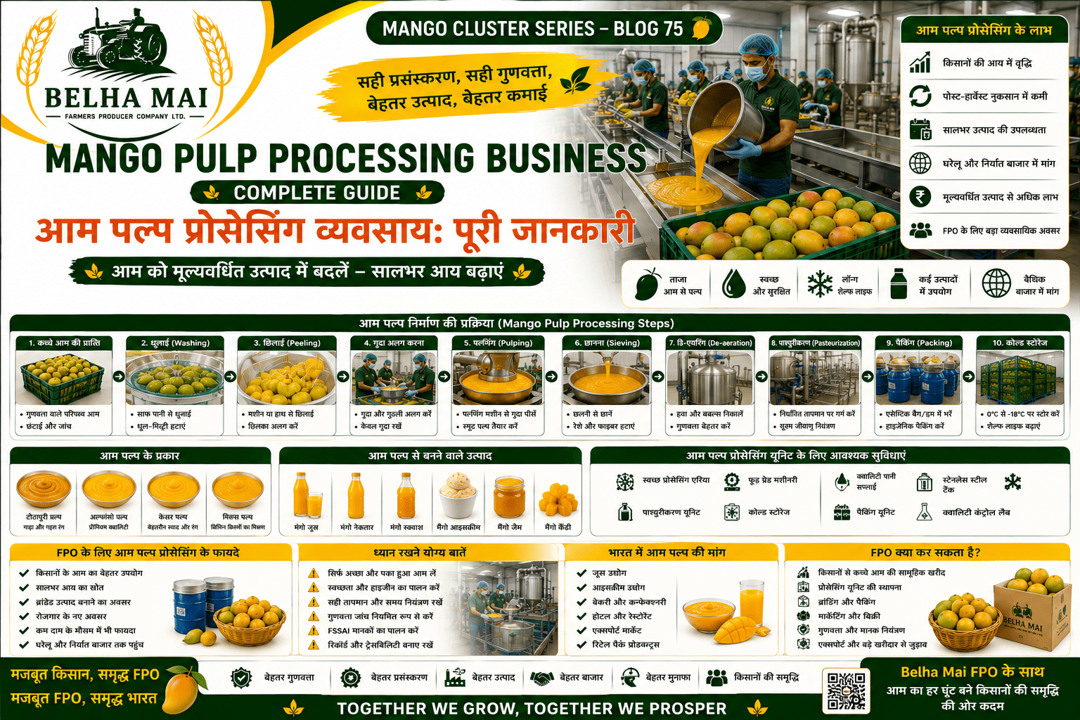 Mango pulp processing business with mango pulp production unit and FPO branding