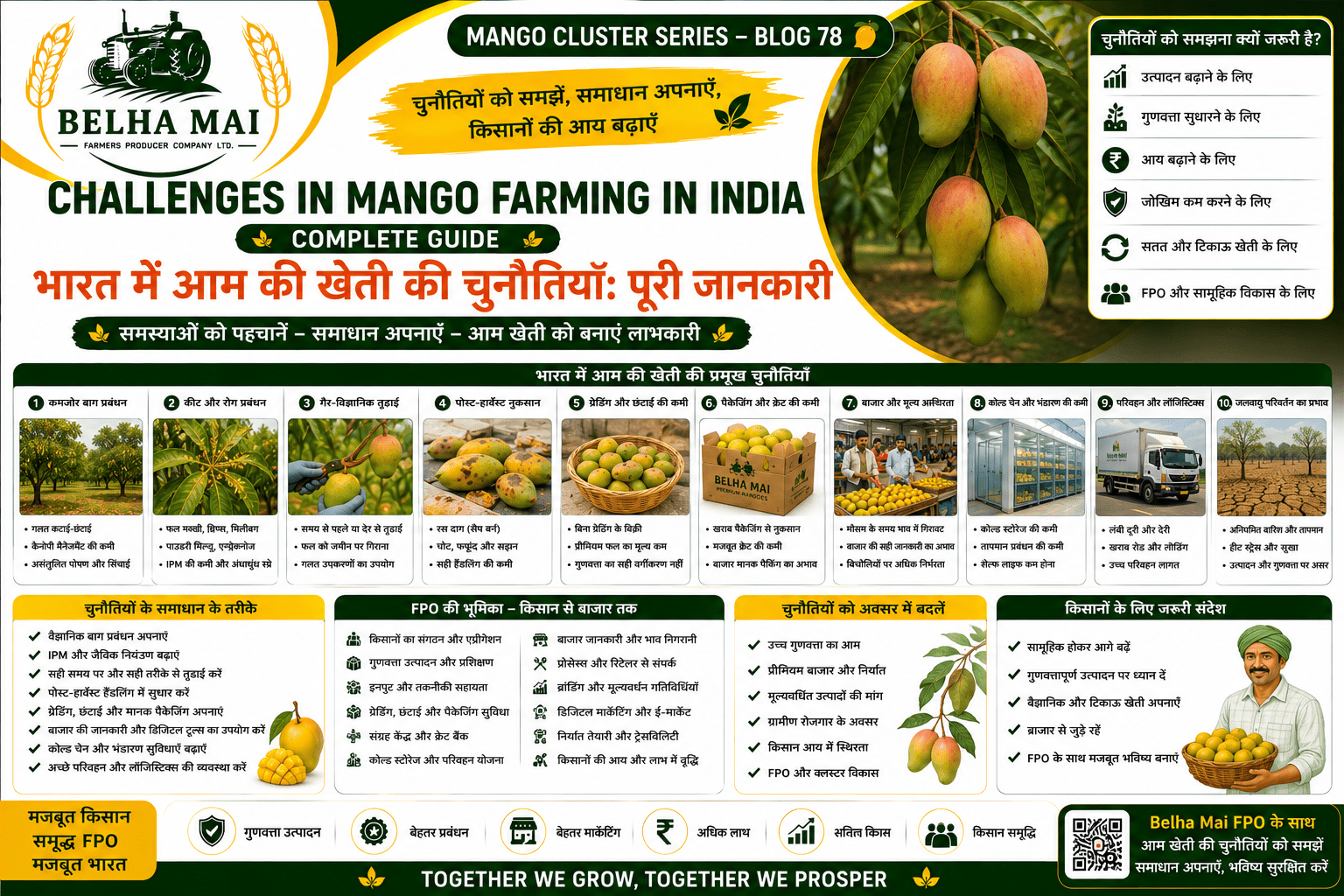 Challenges in mango farming in India with farmer facing pest disease climate and market problems