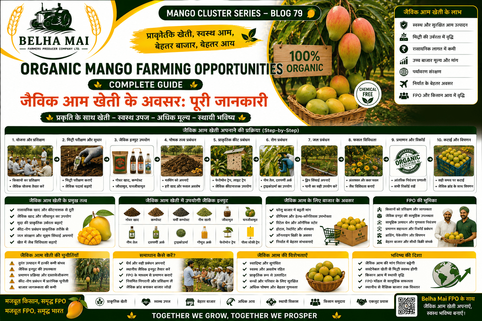 Organic mango farming opportunities with compost bio-inputs and farmer training