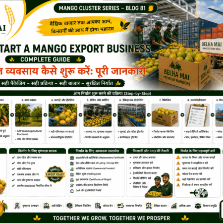 How to start a mango export business with grading packaging documents and shipment