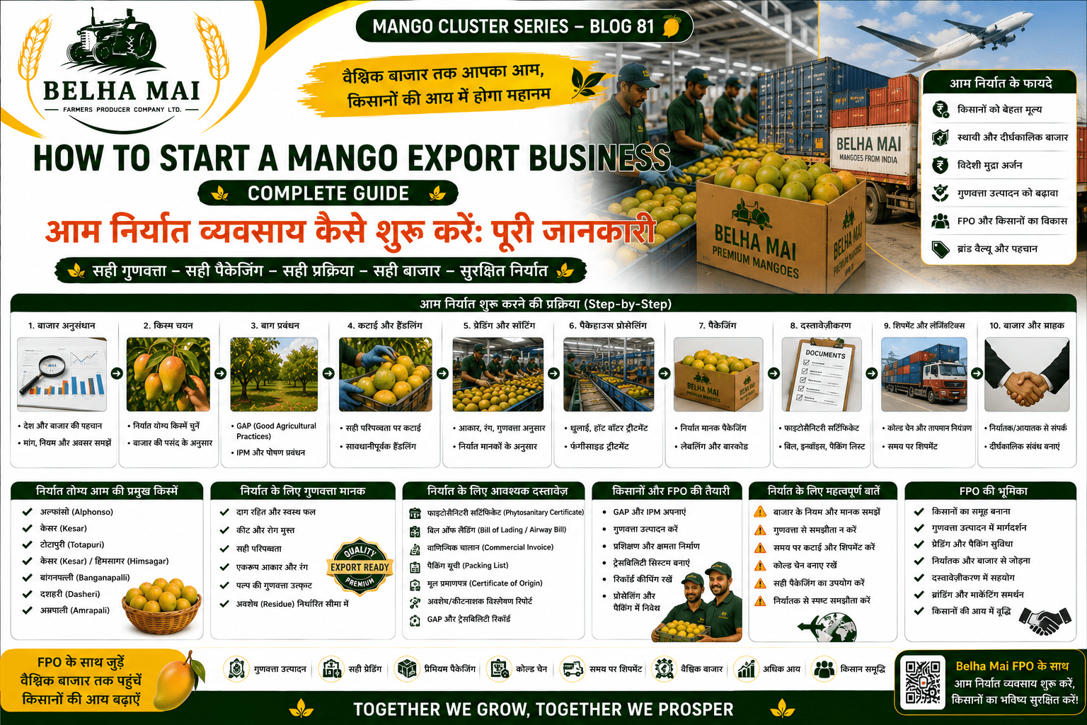 How to start a mango export business with grading packaging documents and shipment