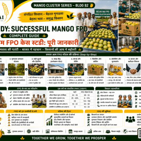 Successful mango FPO case study with farmer aggregation grading packaging and buyer linkage