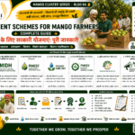 Government schemes for mango farmers with subsidy support for orchard packhouse cold storage and FPO