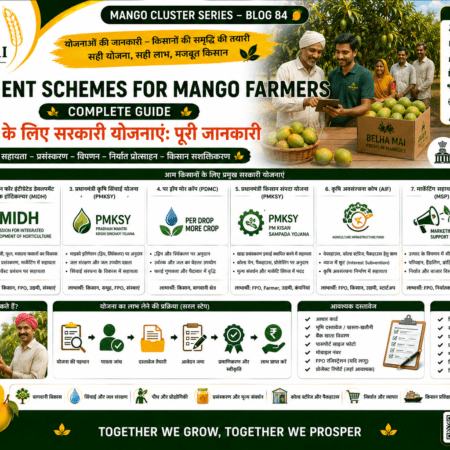 Government schemes for mango farmers with subsidy support for orchard packhouse cold storage and FPO