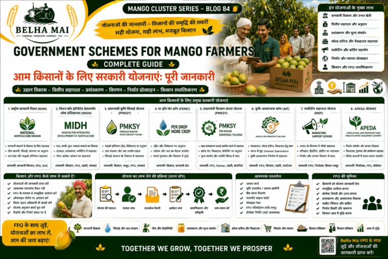 Government schemes for mango farmers with subsidy support for orchard packhouse cold storage and FPO