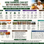 How farmers can get better market prices through quality, grading, storage, FPO aggregation, value addition and direct buyer linkage
