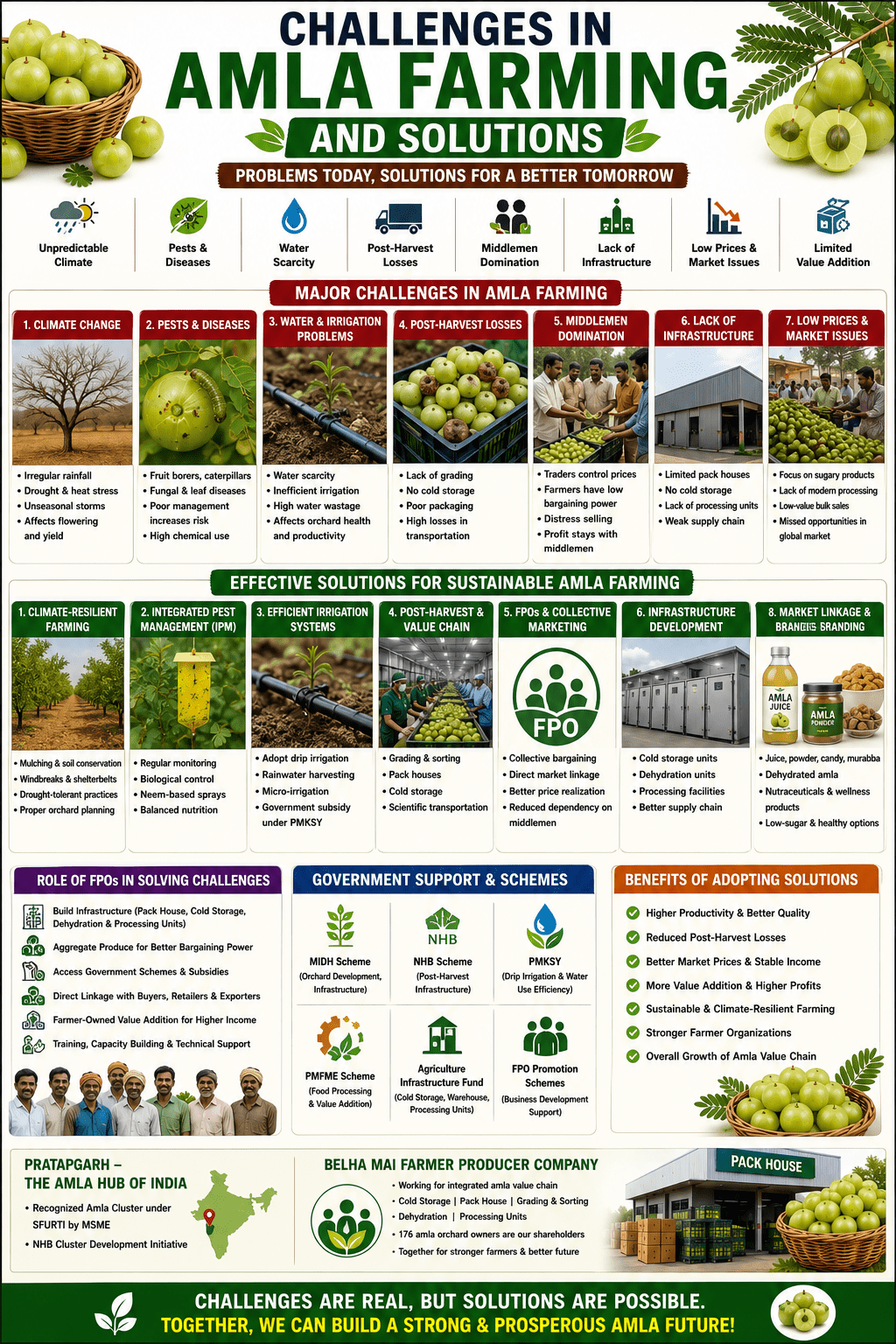Challenges in amla farming and solutions infographic showing irrigation problems, pests, market issues, post-harvest losses, and modern farming solutions.