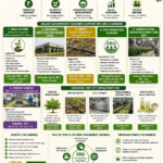 Government subsidies for amla farming infographic showing MIDH, NHB, drip irrigation, cold storage, pack houses, and FPO support.