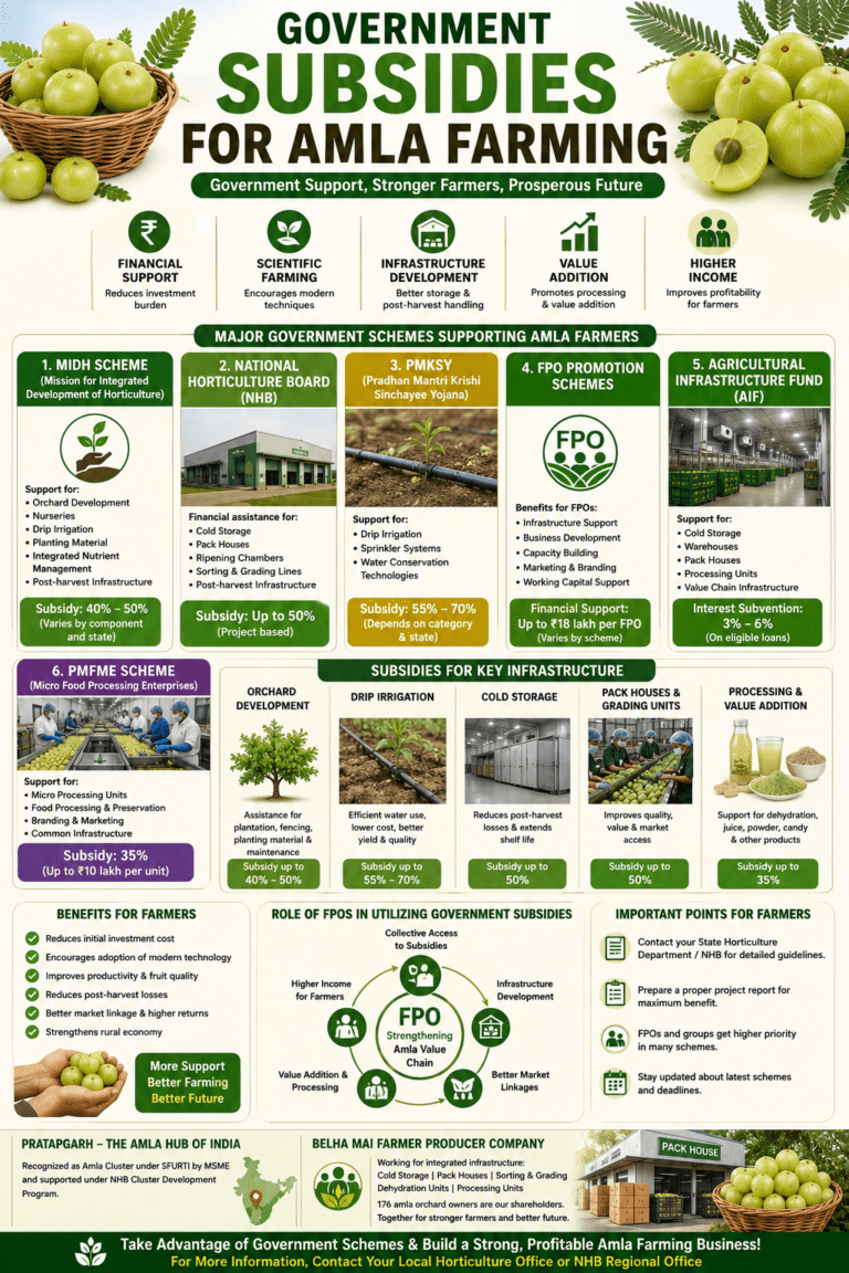 Government subsidies for amla farming infographic showing MIDH, NHB, drip irrigation, cold storage, pack houses, and FPO support.